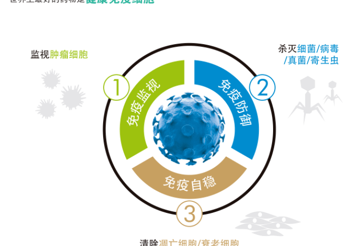 海淀疫苗方阵,科技之城的免疫盾牌如何铸就? 海淀疫苗方阵,科技之城的免疫盾牌如何铸就?