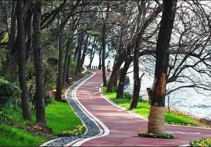 疫苗屏障下的乌鲁木齐，一座城市的免疫进行时