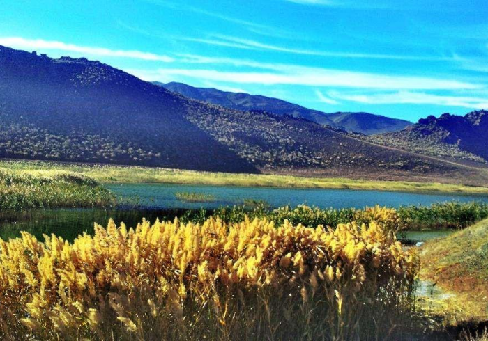 疫苗屏障下的乌鲁木齐，一座城市的免疫进行时