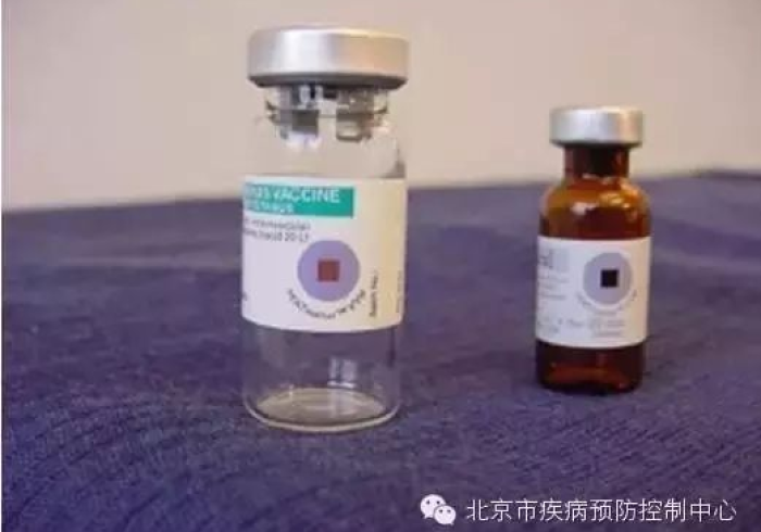 澳门疫苗的北京温度，一剂跨越千里的安心