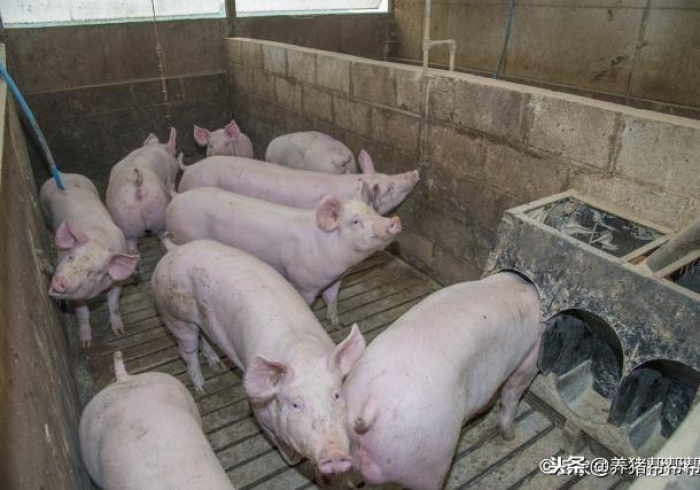 疫苗无界，从北京到澳门，一剂连接的家国温度