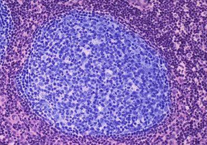 广州疫苗与其它省疫苗,同源同质,共筑国家免疫长城 广州疫苗与其它省疫苗,同源同质,共筑国家免疫长城