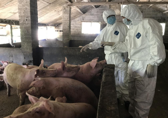 广州北京生物疫苗,一剂跨越南北的守护 广州北京生物疫苗,一剂跨越南北的守护