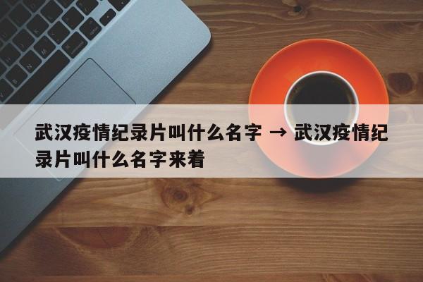 武汉疫情纪录片叫什么名字 → 武汉疫情纪录片叫什么名字来着